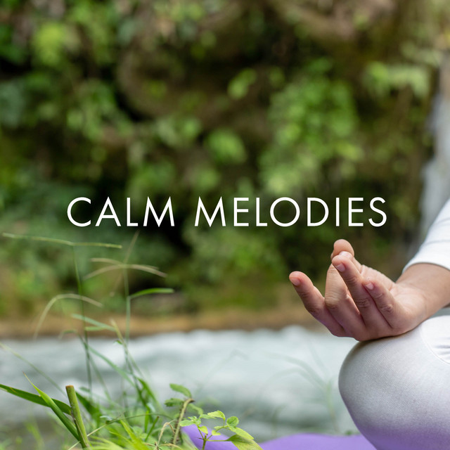 Calm Melodies - Album by Spa Music Relaxation | Spotify