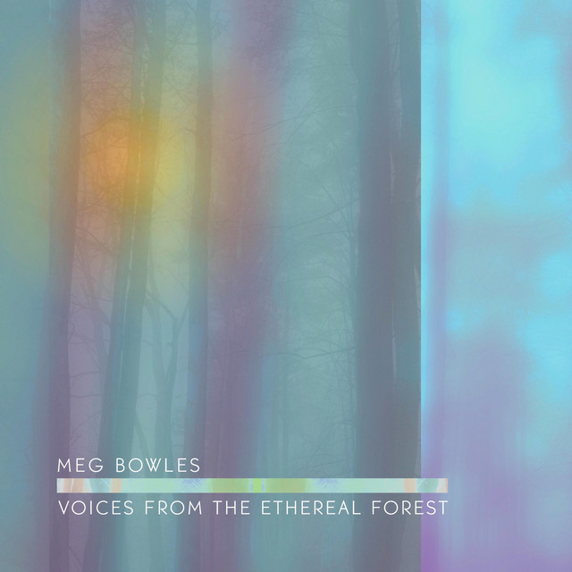 Voices from the Ethereal Forest cover art