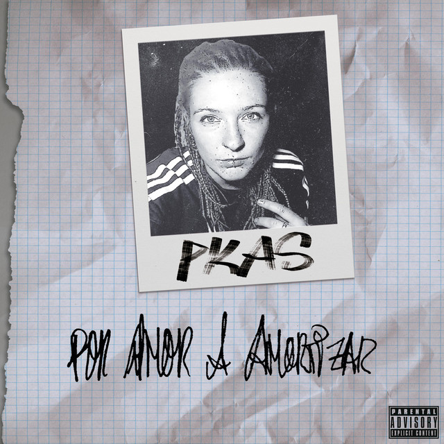 POR AMOR A AMORTIZAR cover art