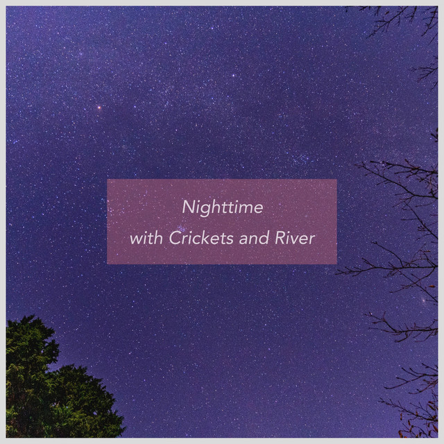 Nighttime with Crickets and River cover art