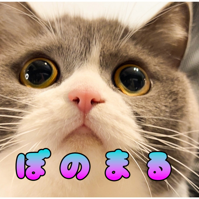 Cover art: ぼのまる — Maru