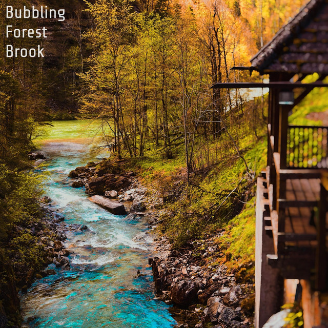 Bubbling Forest Brook cover art