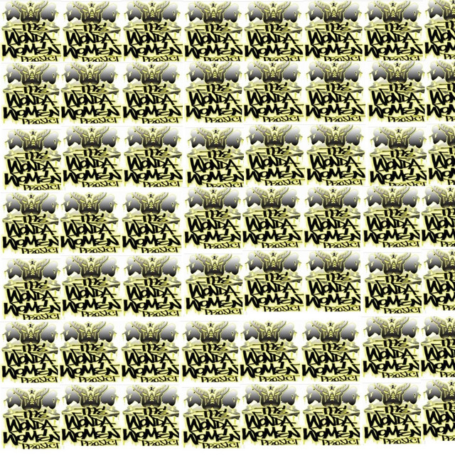 The Wonda Woman Project When Momma Gets Home cover art