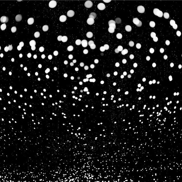 Cold Radiance cover art