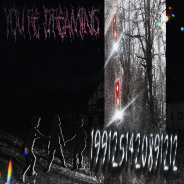 1991251420891212 cover art