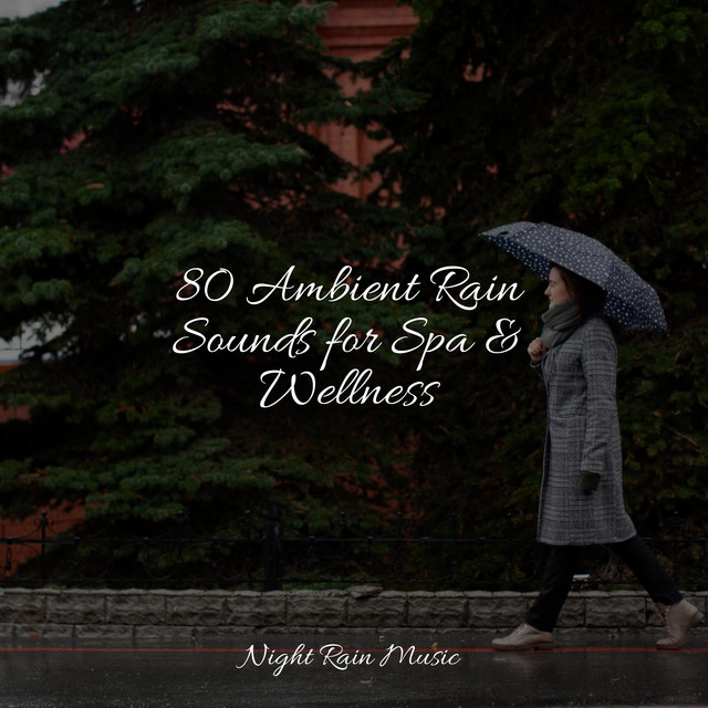80 Ambient Rain Sounds for Spa & Wellness cover art