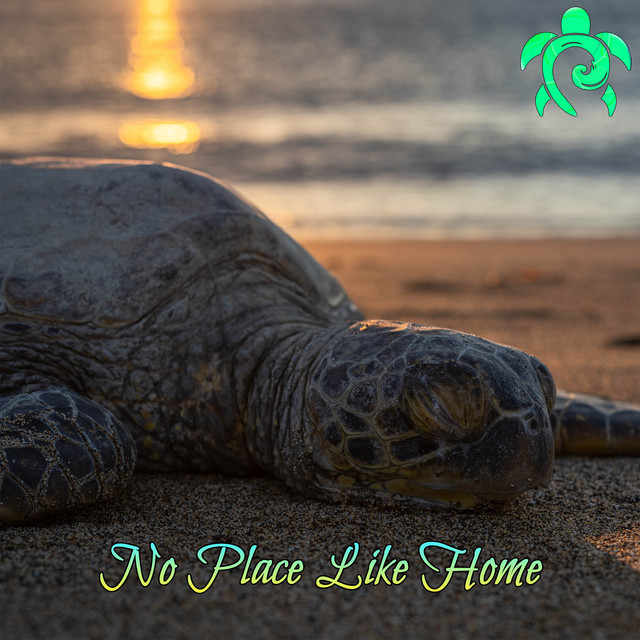 No Place Like Home cover