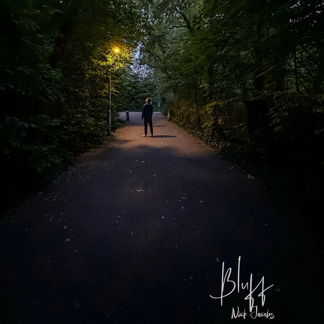 Bluff cover art