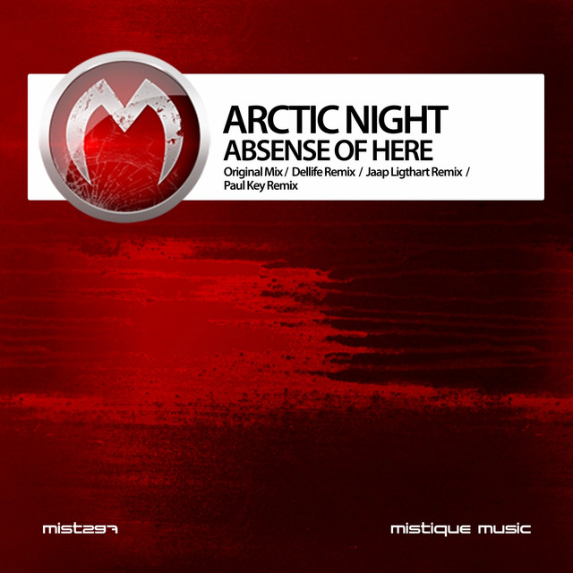 Arctic Night Photo