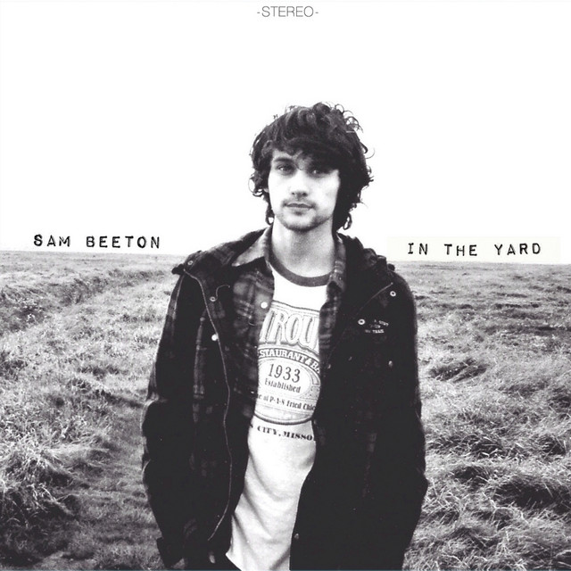 In the Yard cover art