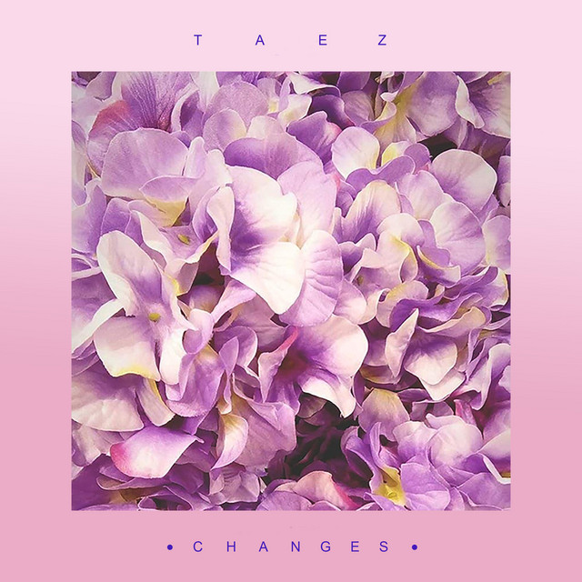 Changes cover art