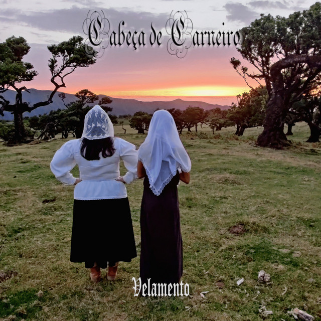 Velamento cover art