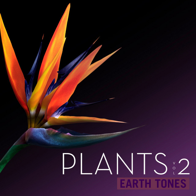 Earth Tones: Plants, Vol. 2 cover art