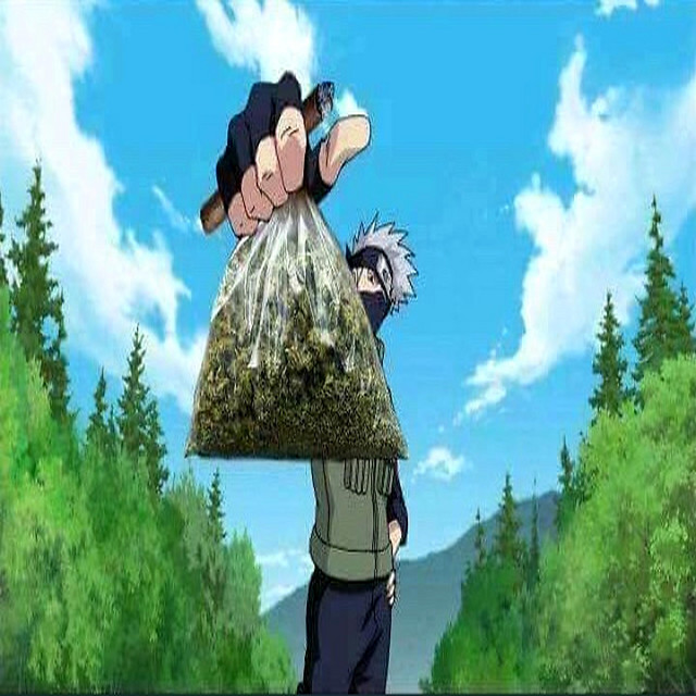EverybodyBagChasers