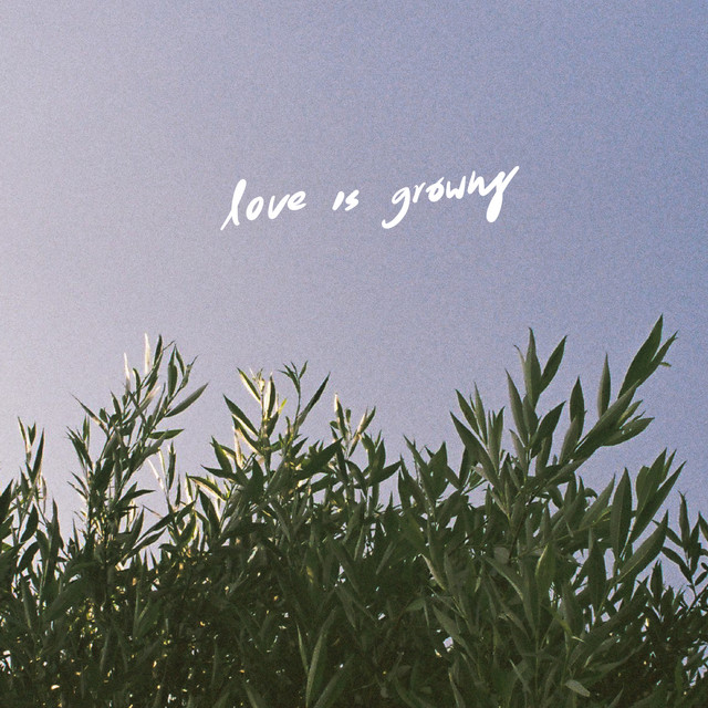 Cover of love is growing by Plastic Plastic