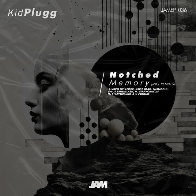 Notched Memory (Krisz Deak Remix) cover