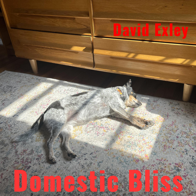 Domestic Bliss