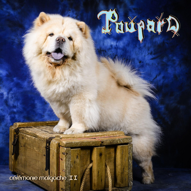 Cérémonie Malgache 2 cover art