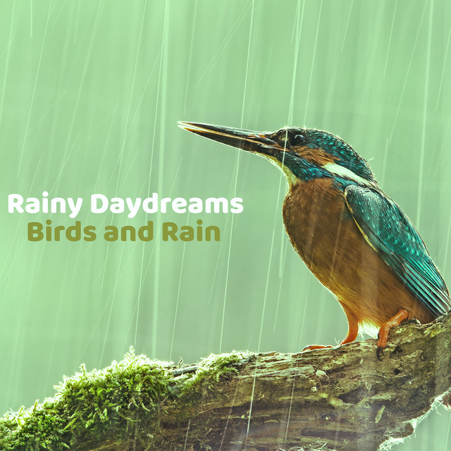 Rainy Daydreams