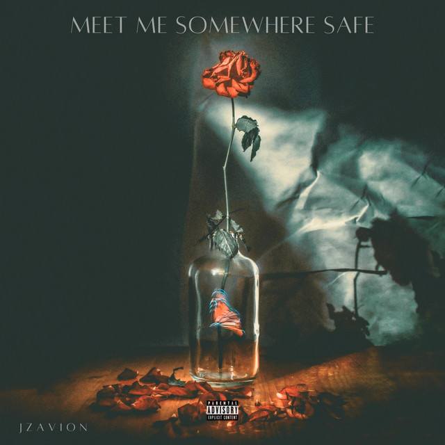 MEET ME SOMEWHERE SAFE cover art