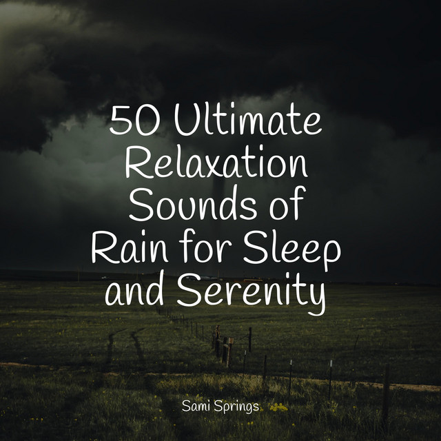 50 Ultimate Relaxation Sounds of Rain for Sleep and Serenity - Album by ...