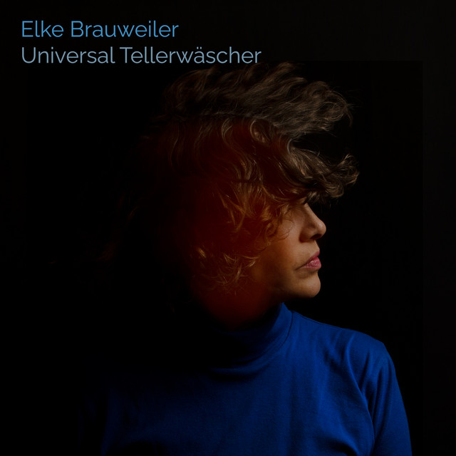 Universal Tellerwäscher cover