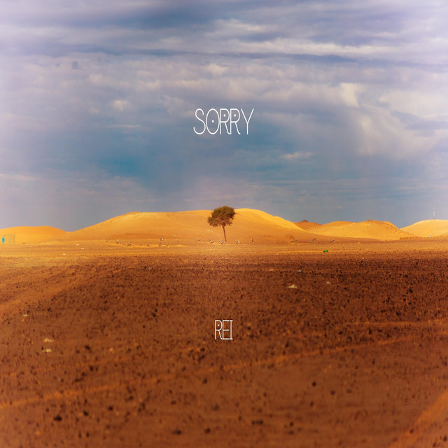 쏘리 cover art