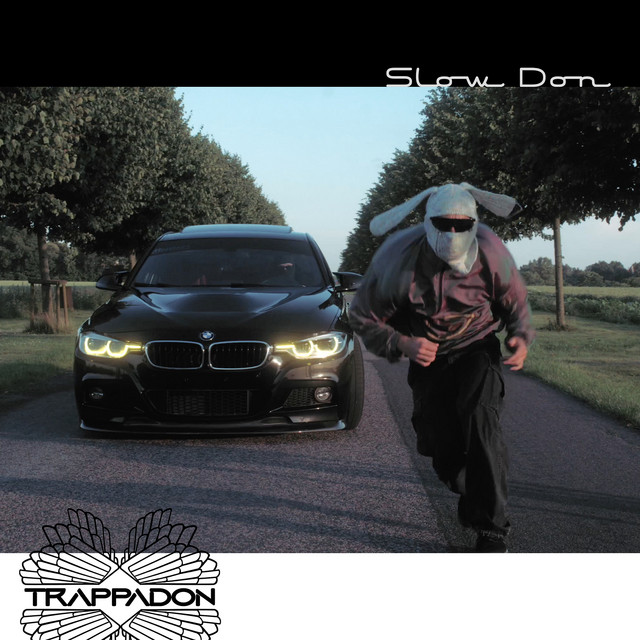 Slow Don cover art