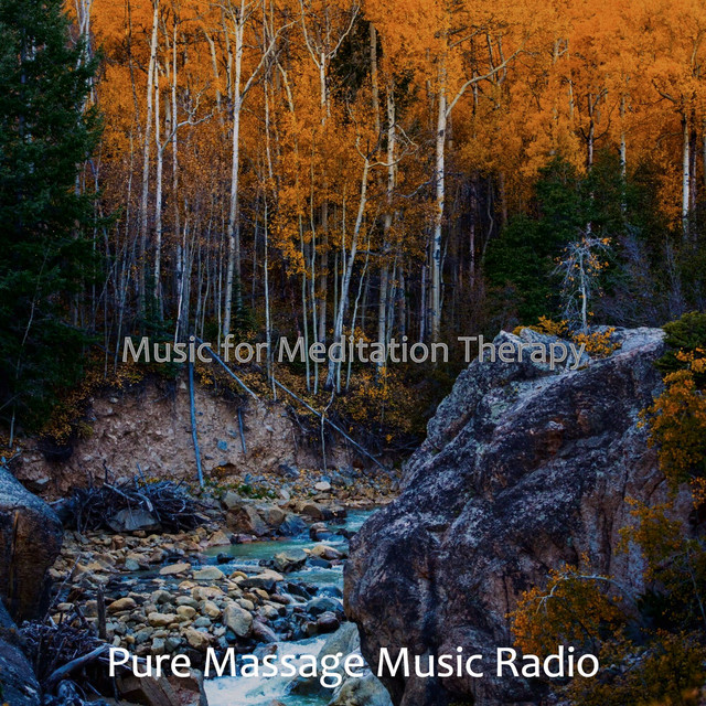 Music for Meditation Therapy - Album by Pure Massage Music Radio | Spotify