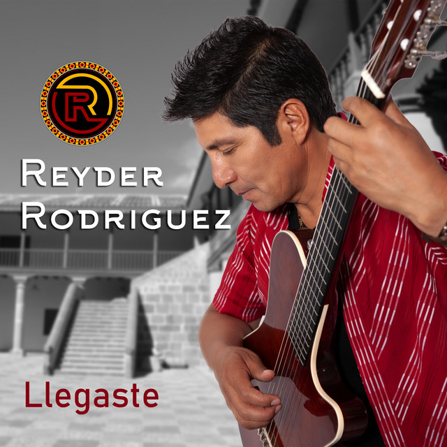Llegaste cover art
