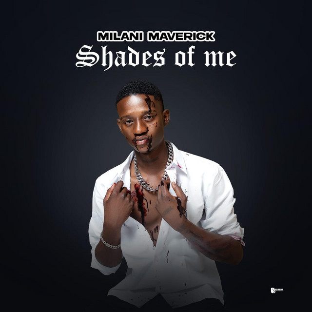 SHADES OF ME album image