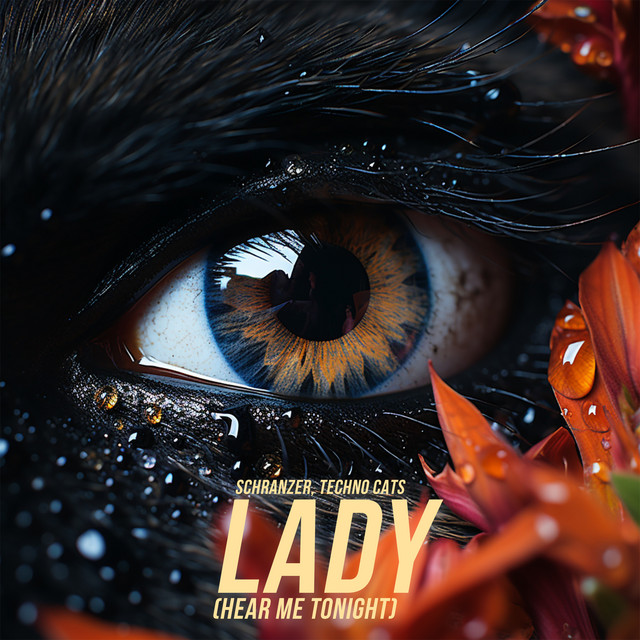 Lady