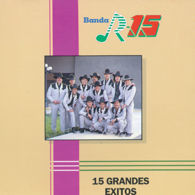 Banda R-15 image