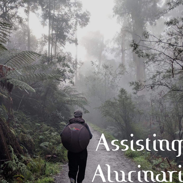 Assisting Alucinari cover art