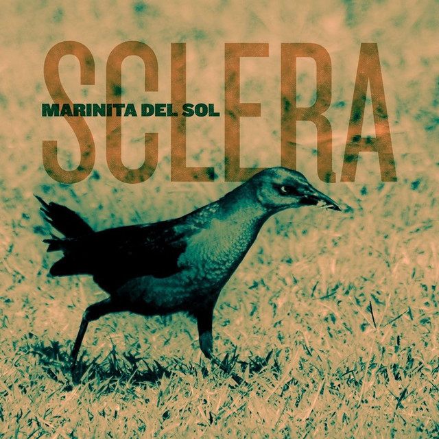 Sclera Photo