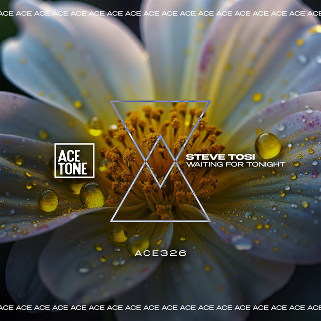 Waiting For Tonight album art