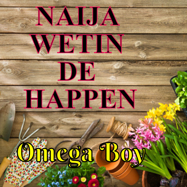 Naija Wetin De Happen cover art