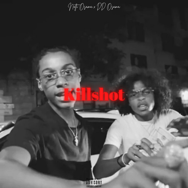 Killshot cover art