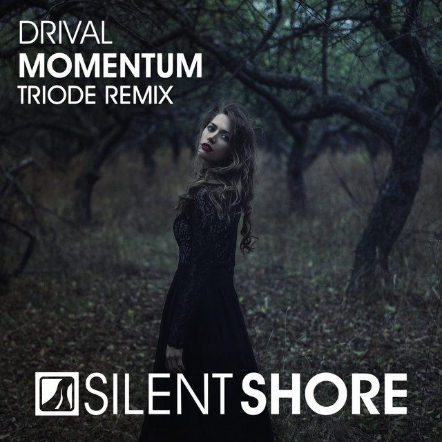Cover art for Drival — Momentum (Triode Remix)