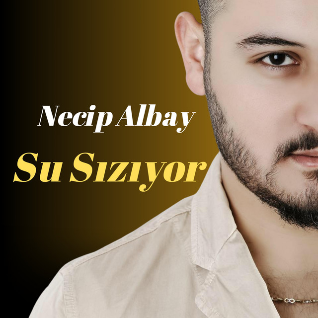 Su Sızıyor cover art