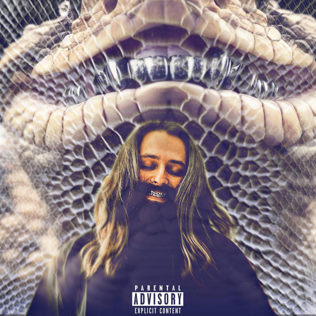 Silvertooth Sidewinder cover art