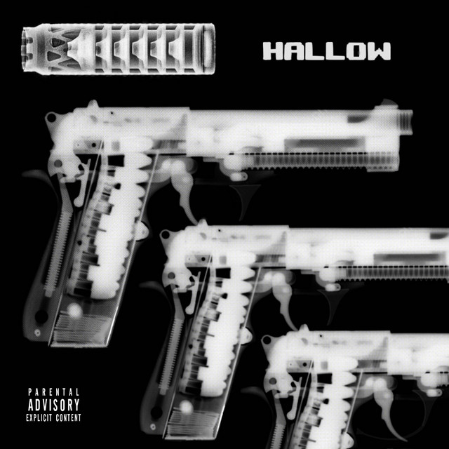 3D PRINTED GUN cover art