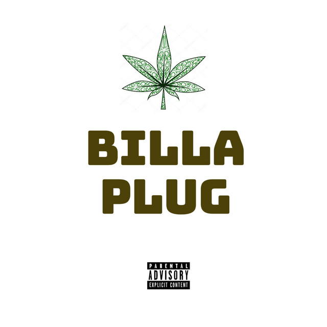 Plug