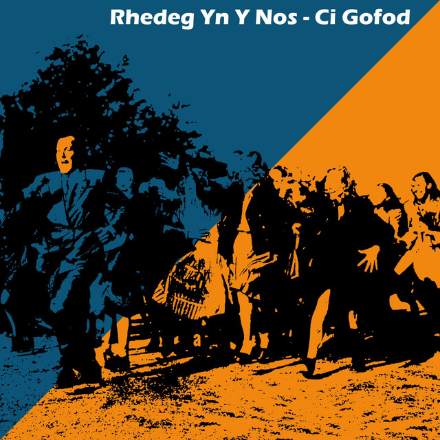 Rhedeg Yn Y Nos cover