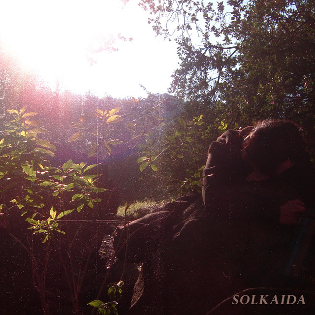Cuando las plantas decidan descansar cover art