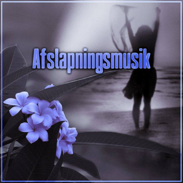 Afslapningsmusik cover art