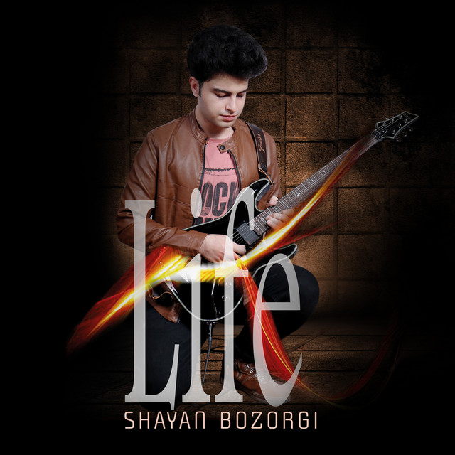 Life cover art