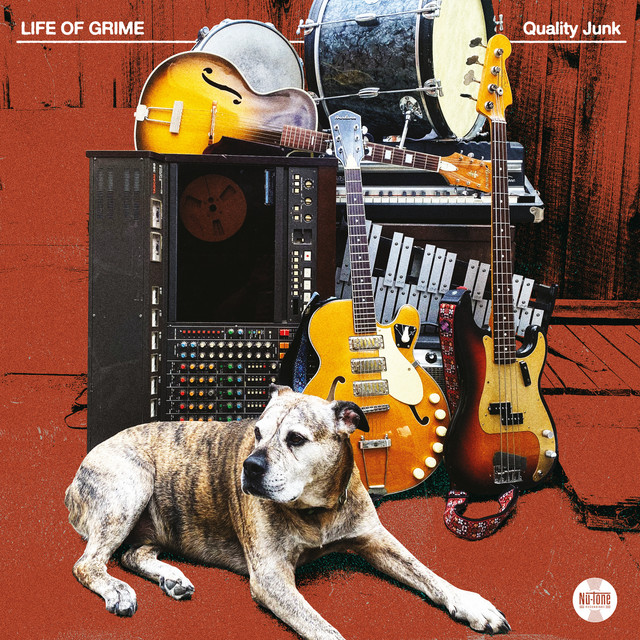 Quality Junk cover art