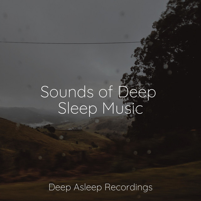 Sounds of Deep Sleep Music - Album by Zen | Spotify
