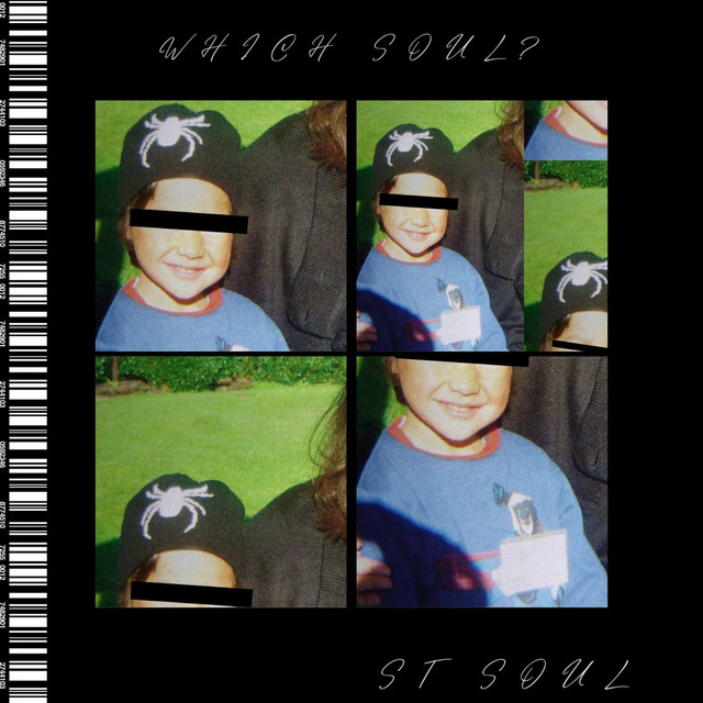 Which Soul? cover art